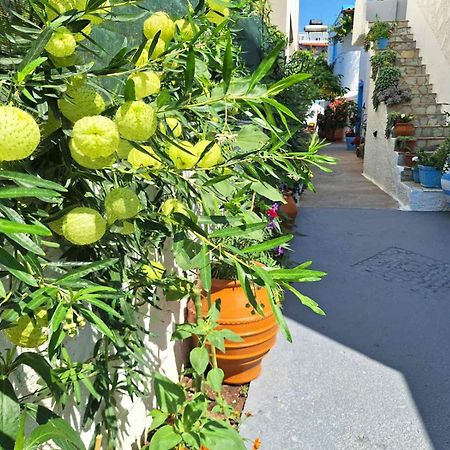 Makrýgialos Βig Βlue Apartments מראה חיצוני תמונה