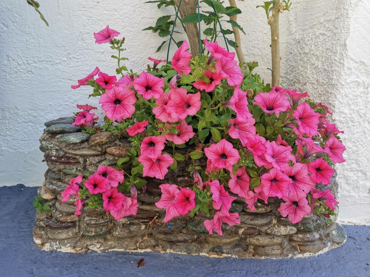 Makrýgialos Βig Βlue Apartments מראה חיצוני תמונה