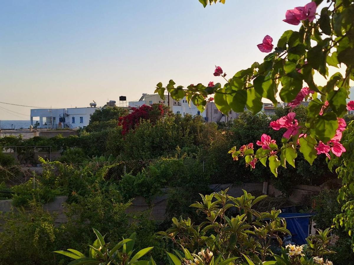 Makrýgialos Βig Βlue Apartments מראה חיצוני תמונה