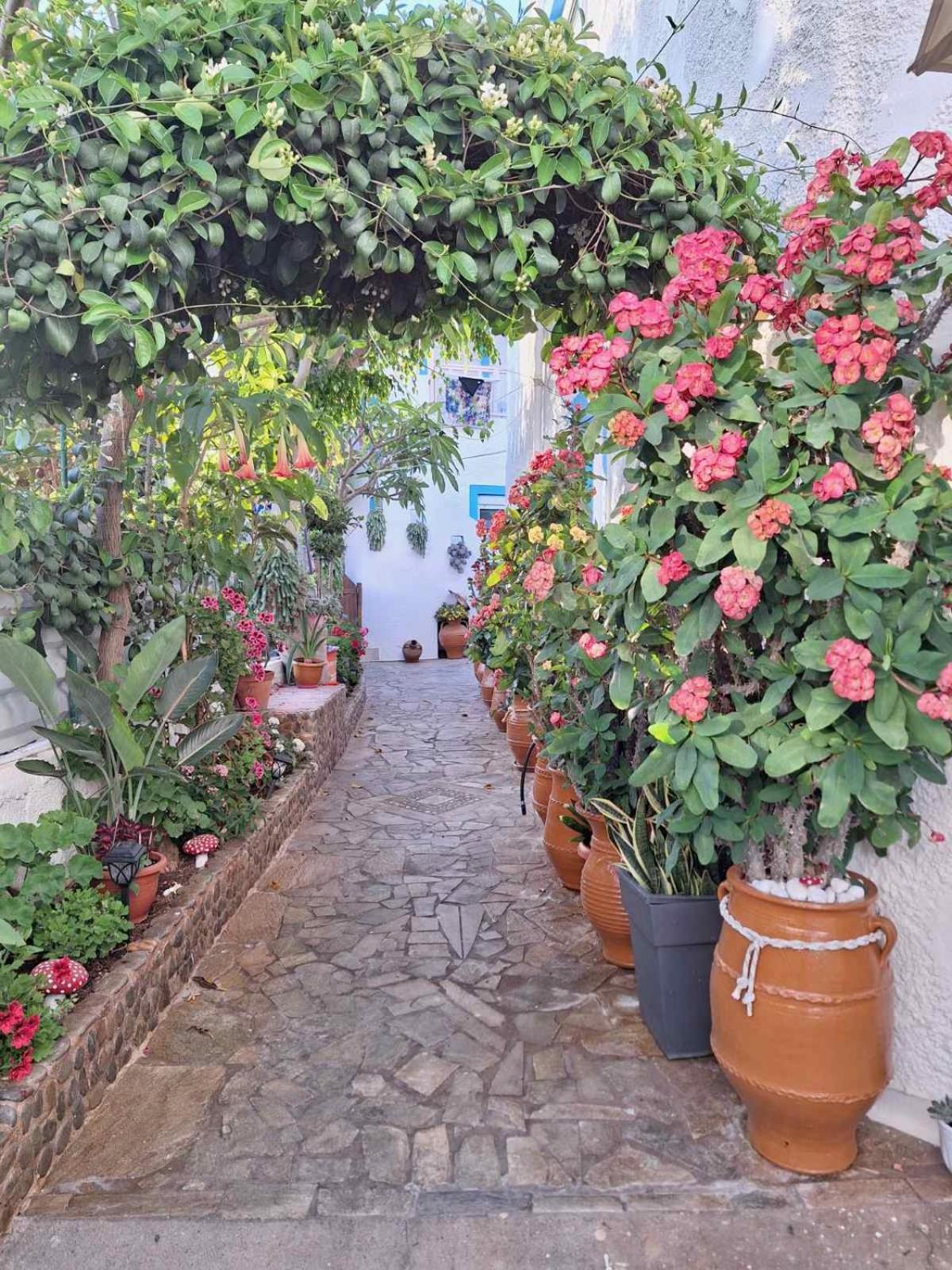 Makrýgialos Βig Βlue Apartments מראה חיצוני תמונה
