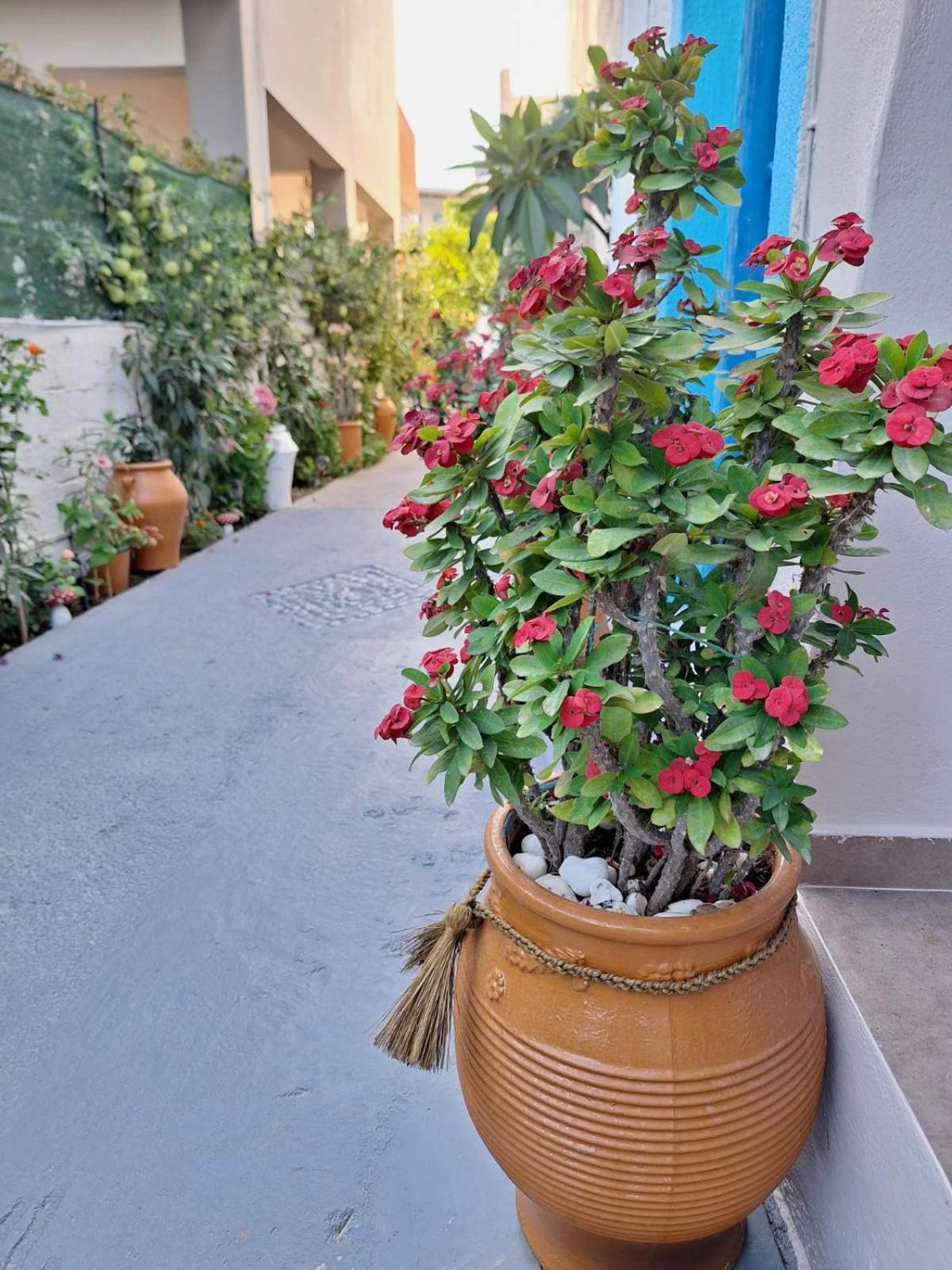 Makrýgialos Βig Βlue Apartments מראה חיצוני תמונה